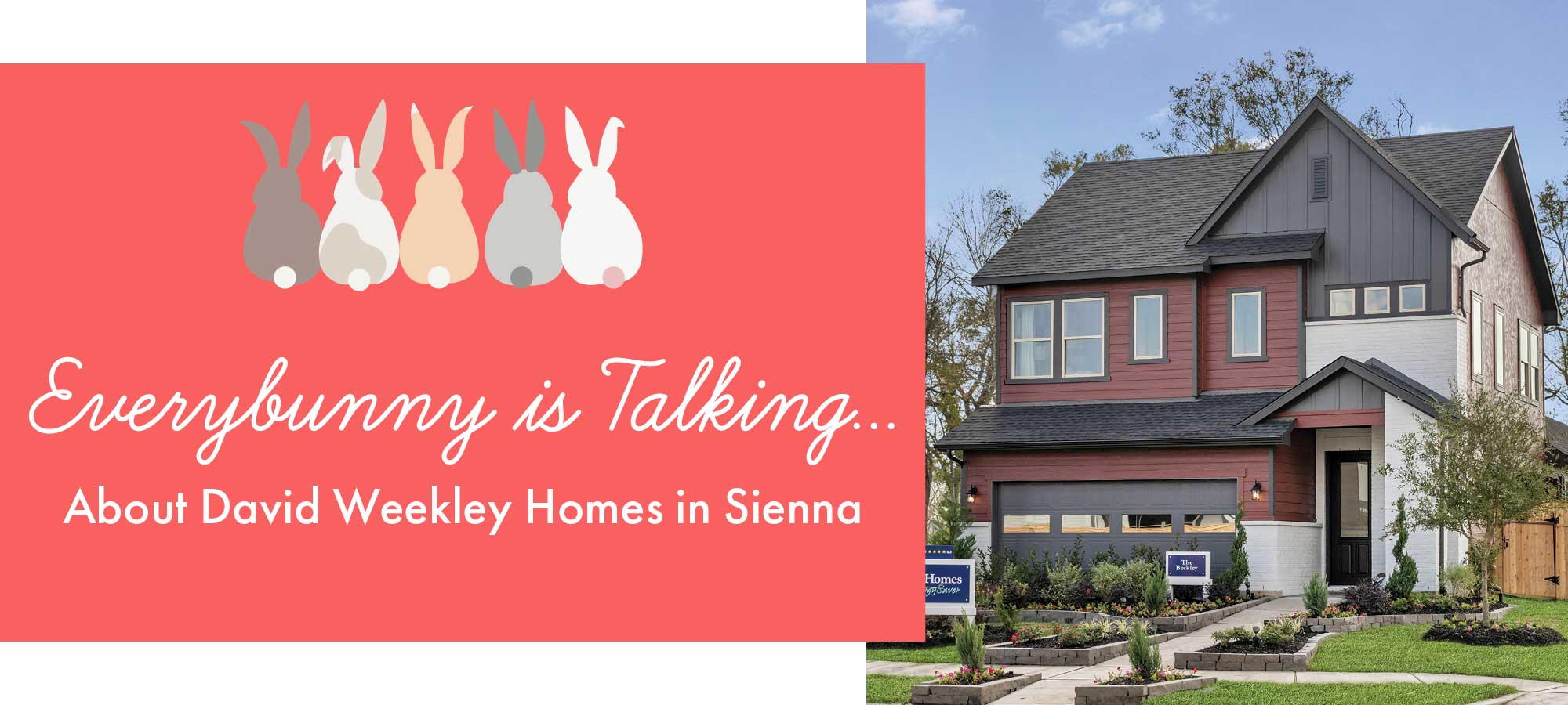 Every Bunny is Talking About David Weekley Homes in Sienna