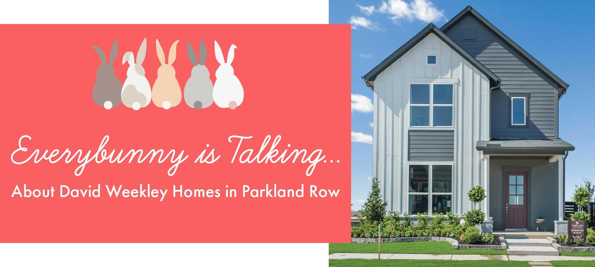 Every Bunny is Talking About David Weekley Homes in Parkland Row
